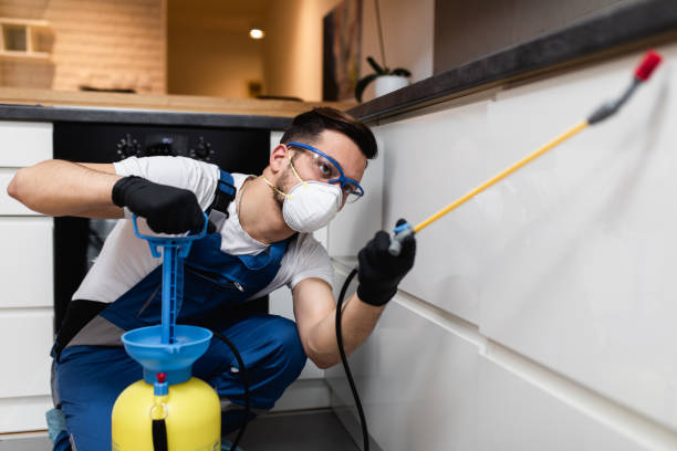 Best Termite Control Services  in Elmo, TX