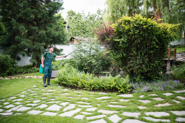 Best Best Pest Control Companies  in Elmo, TX