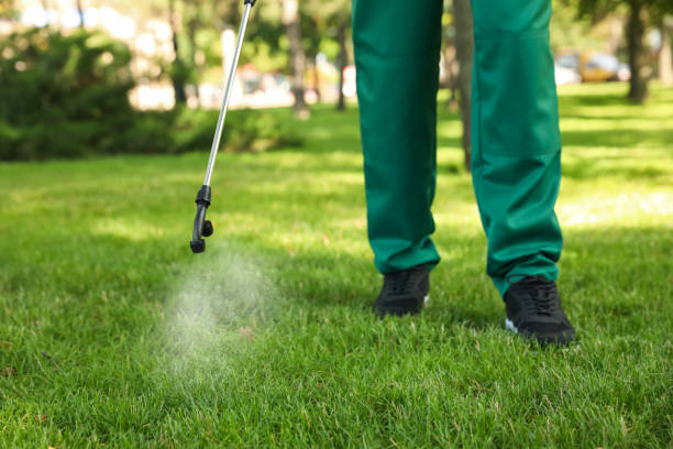 Best Mosquito Control Services  in Elmo, TX