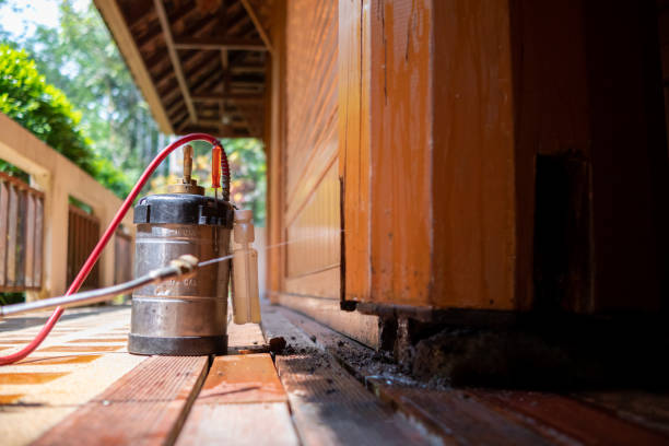 Best Ant Control Services  in Elmo, TX